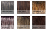 1711-Alexi-Color Selection 2
