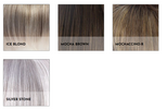 2381-Rina-Color Selection 2
